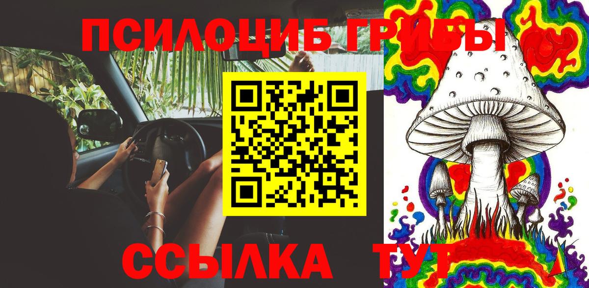 Псилоцибиновые грибы Magic Shrooms Ливны