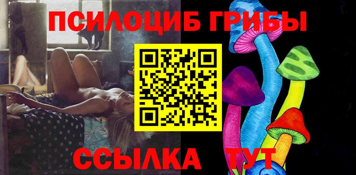 купить   Вход с VPN  Ливны  Галлюциногенные грибы Cubensis 