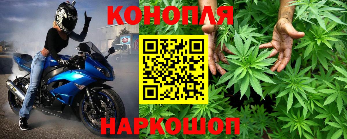 Шишки марихуана ГИДРОПОН  Вход с VPN  Ливны  Бошки Шишки OG Kush  Канабис MAZAR  Канабис планчик 